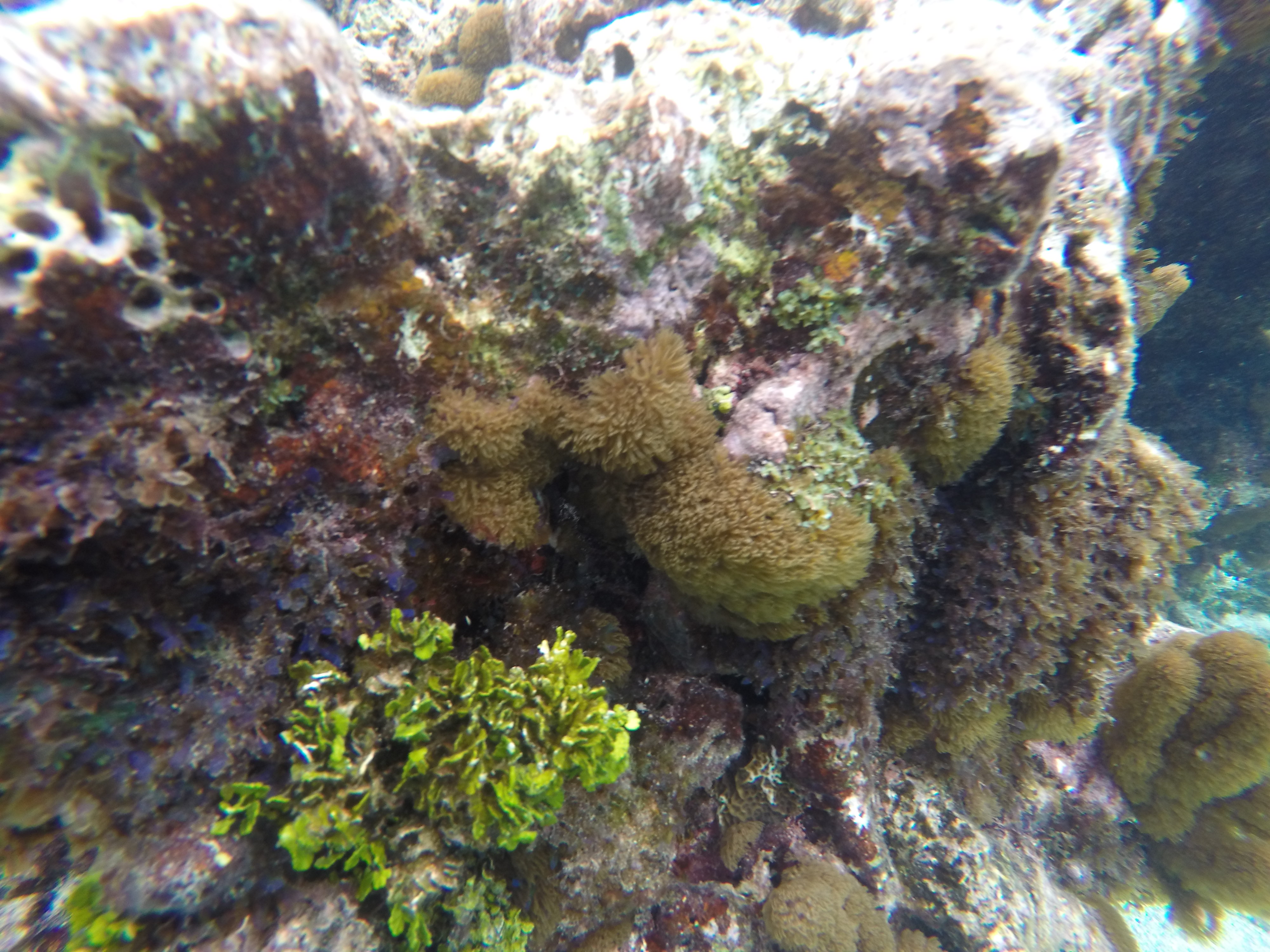 Ultimate Airbnb Guide From a Former Host