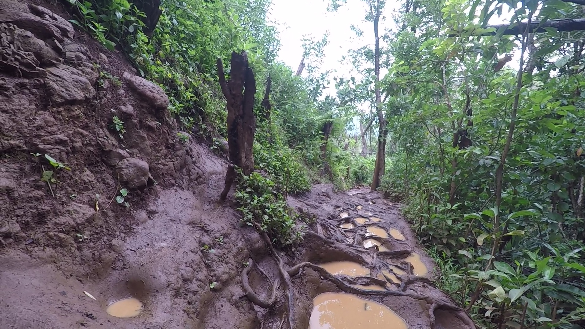 Queen’s Bath: The Dangerous Yet Breathtaking Hike on Kauai